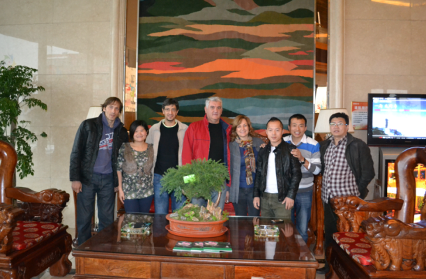 ��˾ؓ(f��)؟(z��)���c�͑���Ӱ����