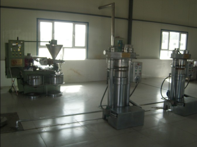 С��ե�͙C(j��)���a(ch��n)�F(xi��n)��(ch��ng)