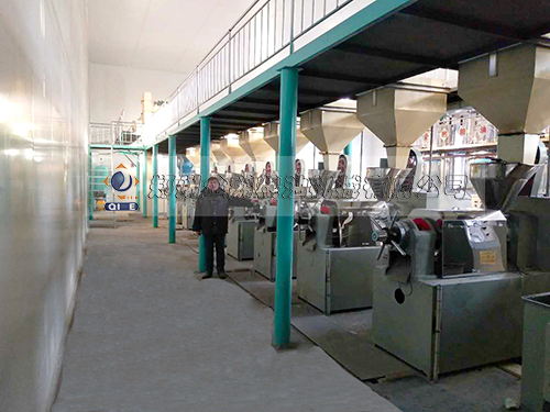 �����͉�ե�O(sh��)��